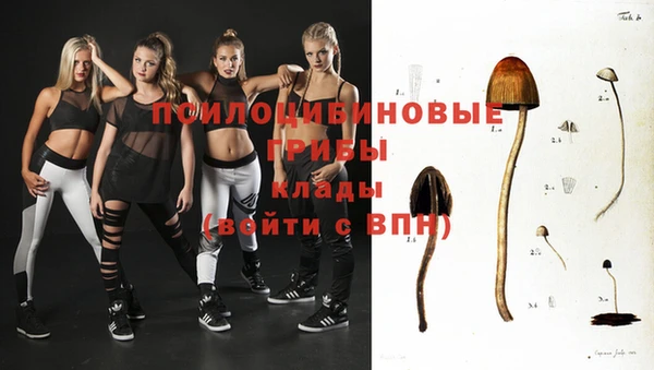 spice Армянск