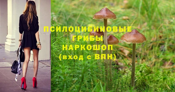 spice Армянск