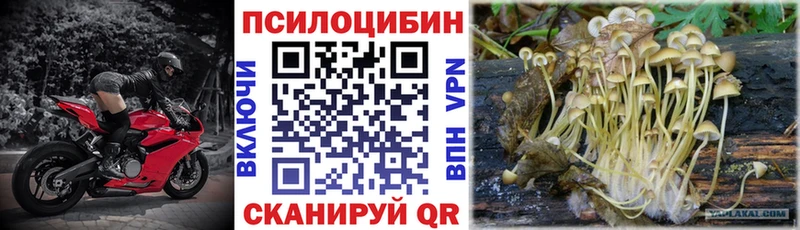 Псилоцибиновые грибы GOLDEN TEACHER  Темников 