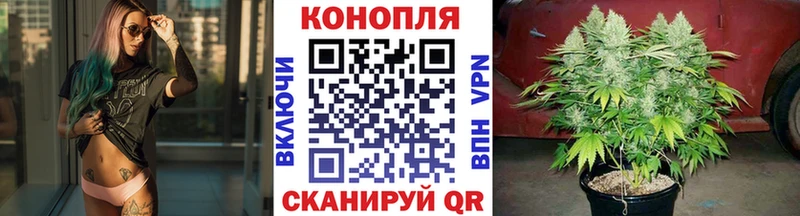 Бошки марихуана LSD WEED  OMG вход  Темников 